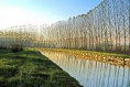 /album/photogallery/ultime-foglie-jpg/